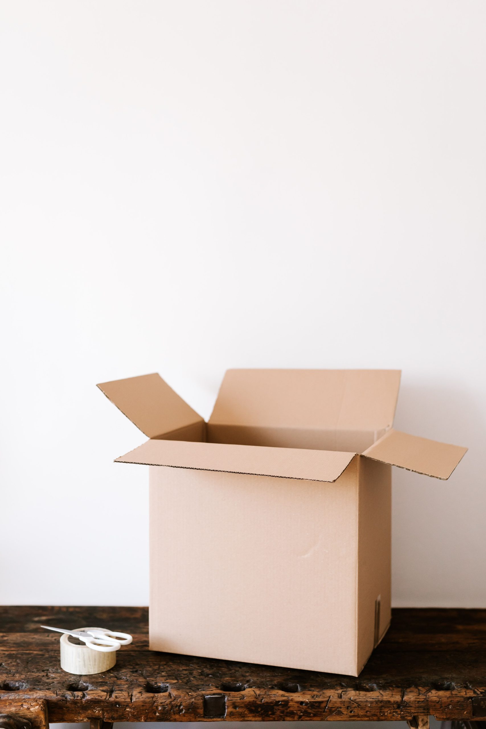 The Collector’s Blueprint: How to Spot High-Potential Designer Toy IPs Before They Sell Out